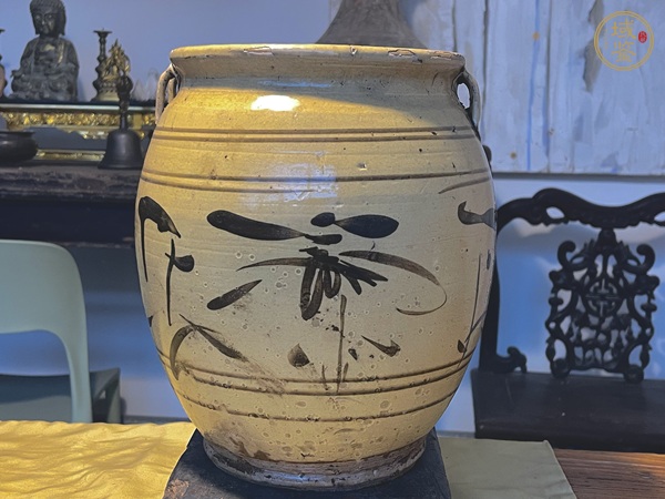 古玩陶瓷白釉褐彩花卉紋雙系罐真品鑒賞圖