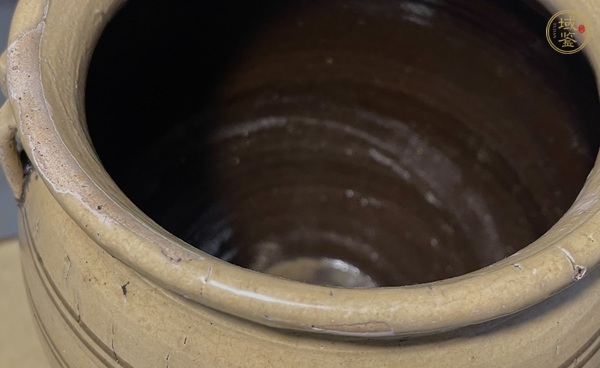 古玩陶瓷白釉褐彩花卉紋雙系罐真品鑒賞圖