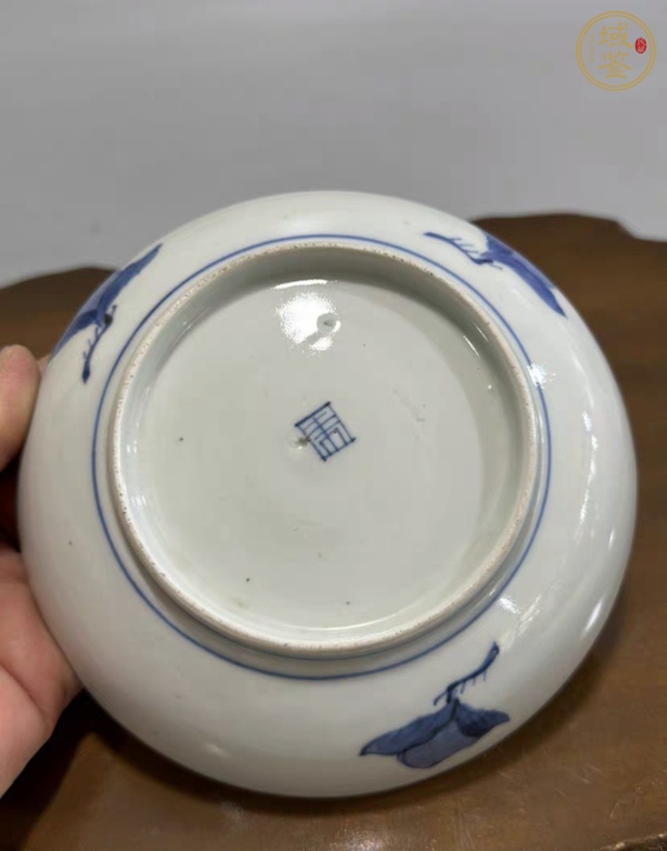 古玩陶瓷日本明治青花花卉紋淺盤真品鑒賞圖