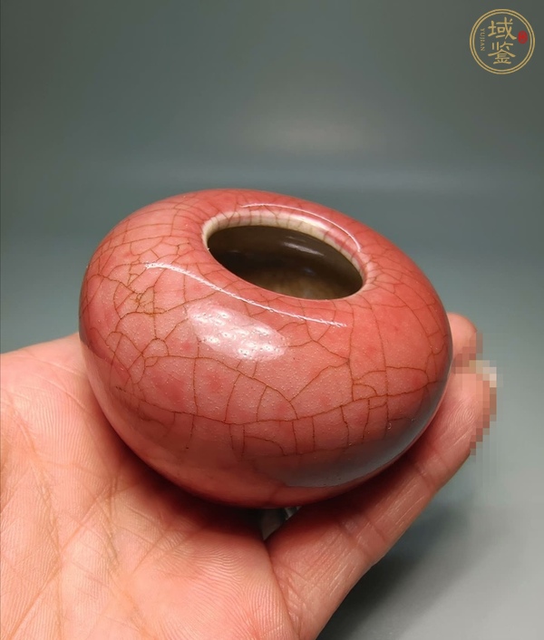 古玩陶瓷紅釉水盂真品鑒賞圖