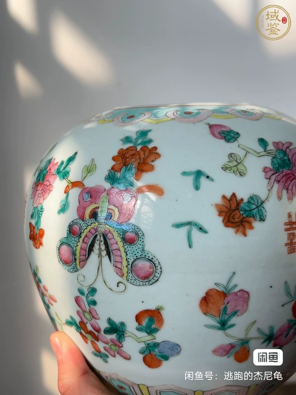 古玩陶瓷花蝶紋粉彩西瓜罐真品鑒賞圖