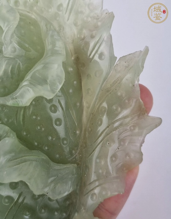 古玩玉器玉白菜真品鑒賞圖