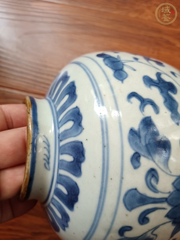 古玩陶瓷青花罐真品鑒賞圖