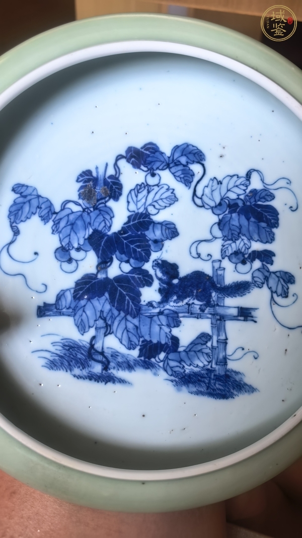 古玩陶瓷清晚·外青釉內(nèi)青花松鼠葡萄紋水洗 真品鑒賞圖