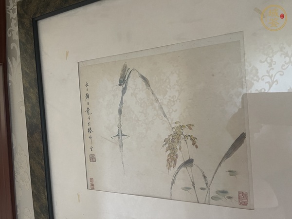 古玩豐收真品鑒賞圖