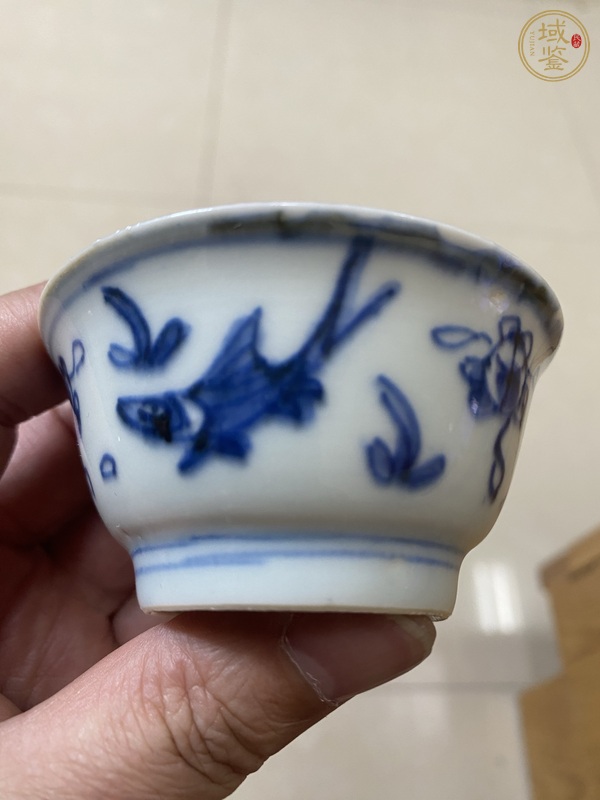 古玩陶瓷青花魚澡紋杯碟一套真品鑒賞圖