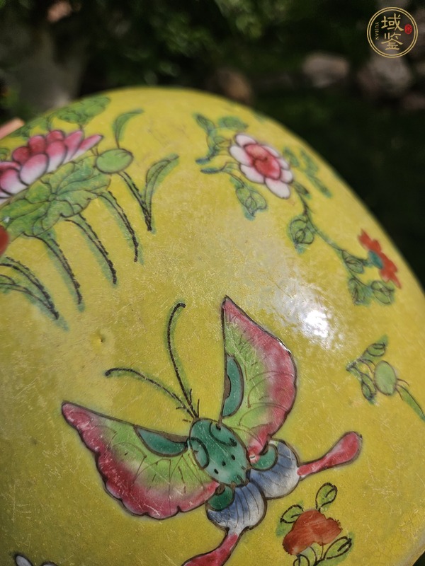 古玩花蝶紋粉彩罐真品鑒賞圖