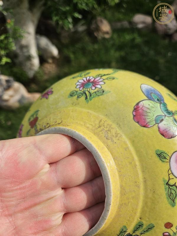 古玩陶瓷花蝶紋粉彩罐真品鑒賞圖