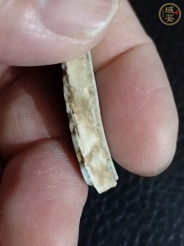 古玩陶瓷青瓷標(biāo)本真品鑒賞圖