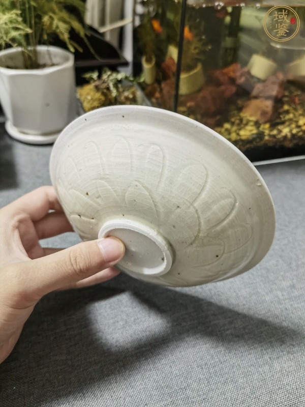 古玩陶瓷青白釉刻仰蓮紋盤真品鑒賞圖