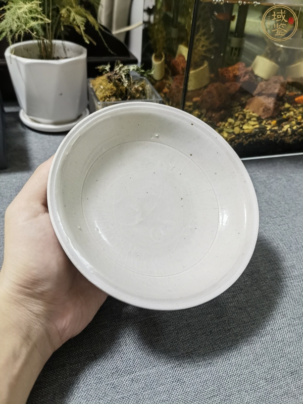 古玩陶瓷青白釉刻仰蓮紋盤真品鑒賞圖