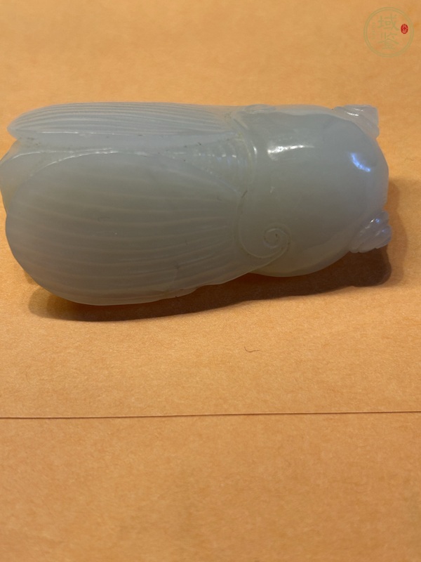 古玩玉器佩蟬真品鑒賞圖