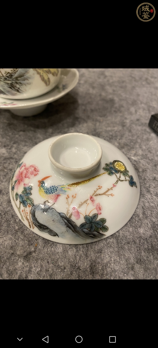 古玩陶瓷錦雞牡丹紋粉彩三才蓋碗真品鑒賞圖