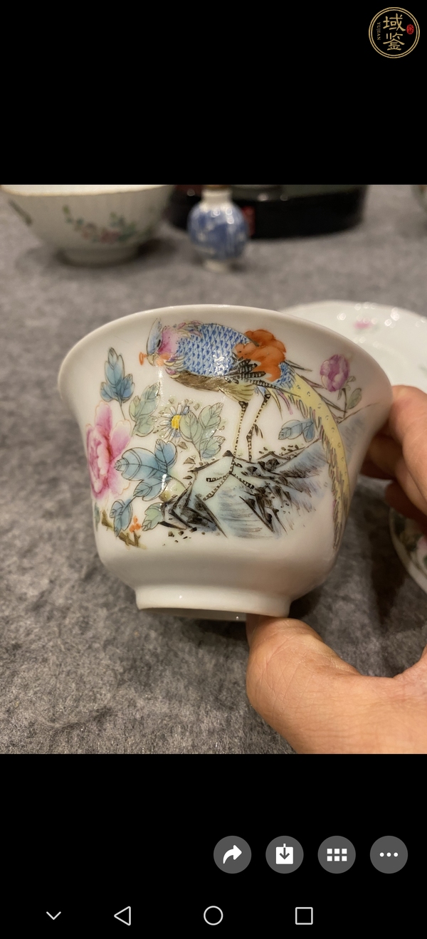 古玩陶瓷錦雞牡丹紋粉彩三才蓋碗真品鑒賞圖