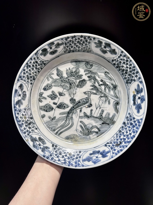 古玩陶瓷青花花鳥紋盤（漳州窯）真品鑒賞圖