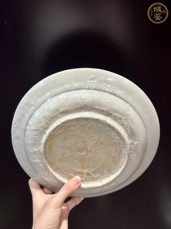 古玩陶瓷青花花鳥紋盤（漳州窯）真品鑒賞圖