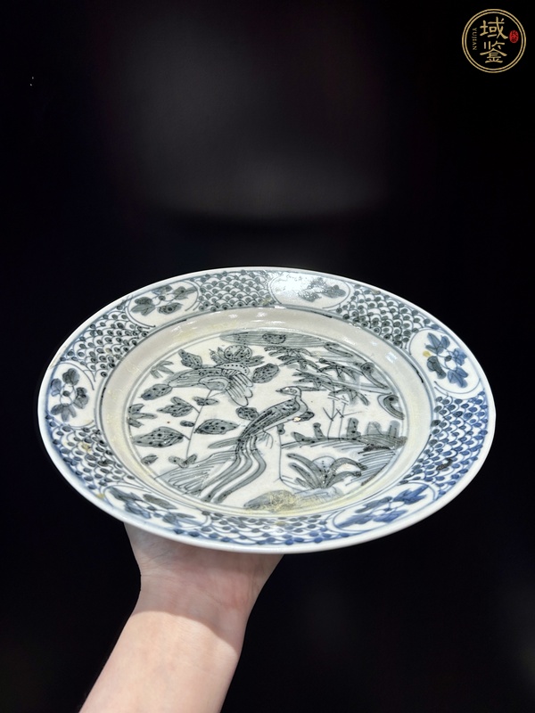 古玩陶瓷青花花鳥紋盤（漳州窯）真品鑒賞圖