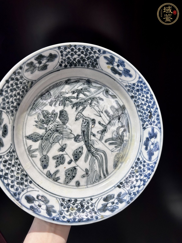 古玩陶瓷青花花鳥紋盤（漳州窯）真品鑒賞圖