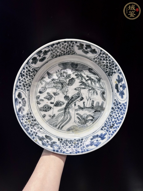古玩陶瓷青花花鳥紋盤（漳州窯）真品鑒賞圖