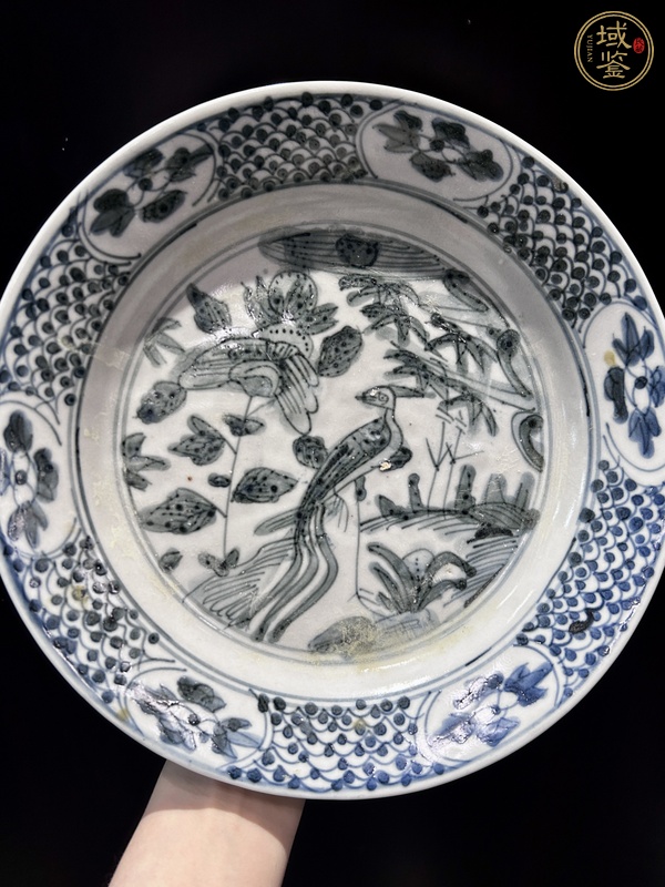 古玩陶瓷青花花鳥紋盤（漳州窯）真品鑒賞圖
