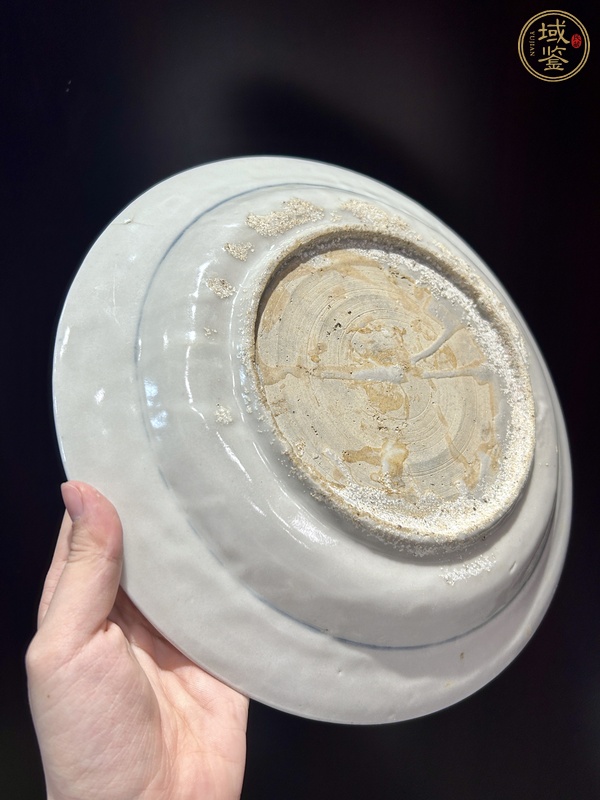 古玩陶瓷青花花鳥紋盤（漳州窯）真品鑒賞圖