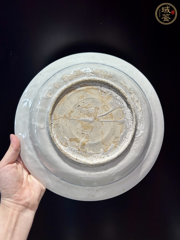 古玩陶瓷青花花鳥紋盤（漳州窯）真品鑒賞圖
