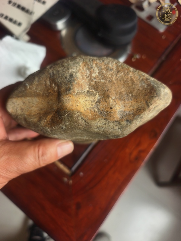古玩化石真品鑒賞圖