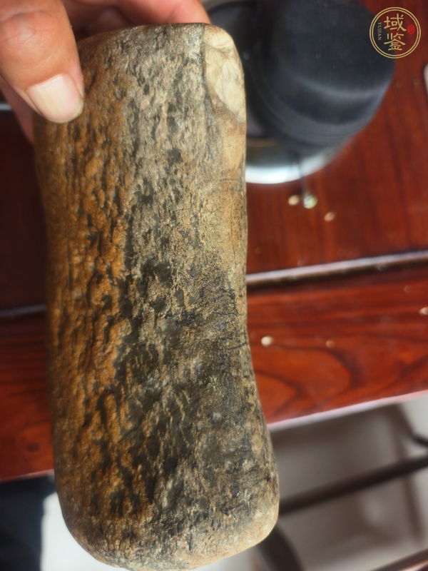 古玩雜項化石真品鑒賞圖