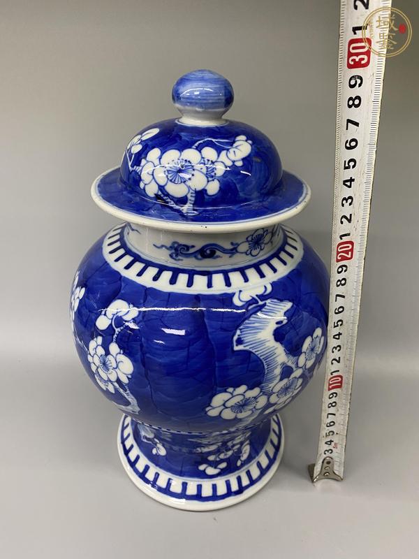 古玩陶瓷青花留白冰梅紋將軍罐真品鑒賞圖
