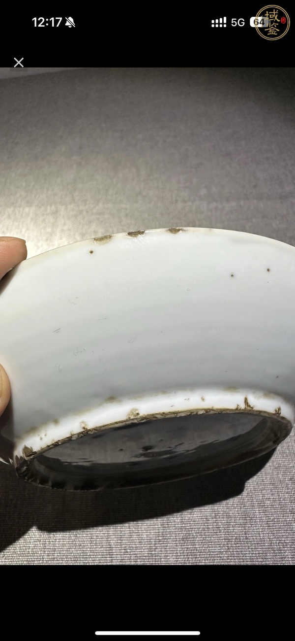 古玩陶瓷五彩蝴蝶紋盤真品鑒賞圖