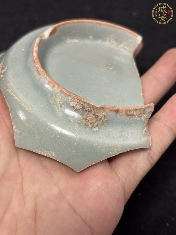 古玩陶瓷龍泉官標(biāo)本真品鑒賞圖