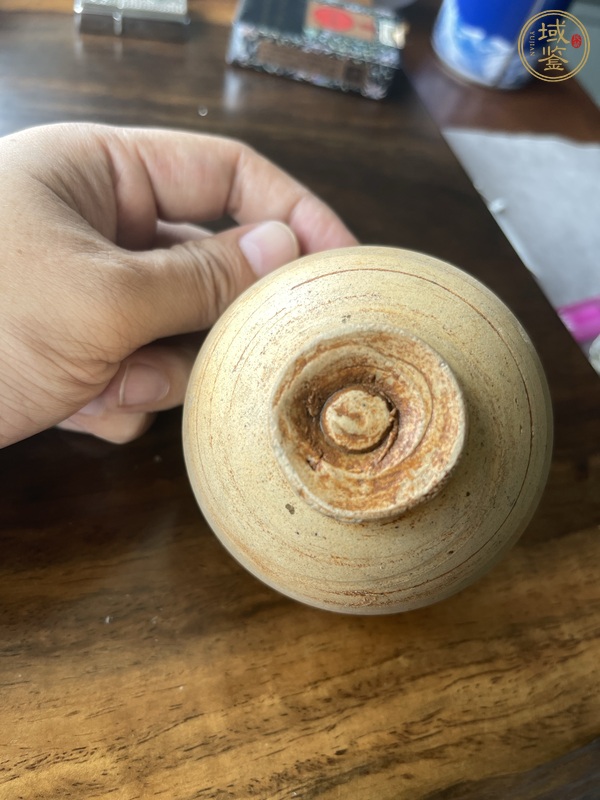 古玩陶瓷壓手杯真品鑒賞圖
