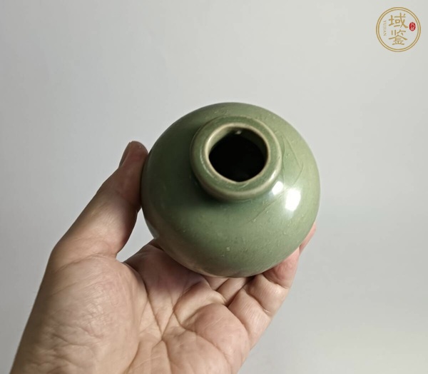 古玩陶瓷龍泉窯芋頭罐真品鑒賞圖