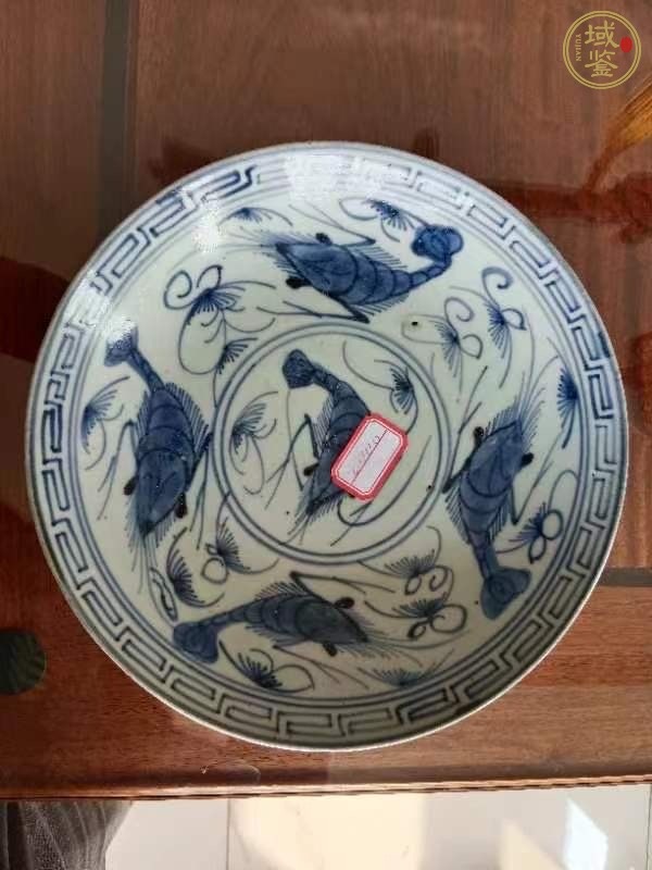 古玩蝦藻紋青花盤真品鑒賞圖