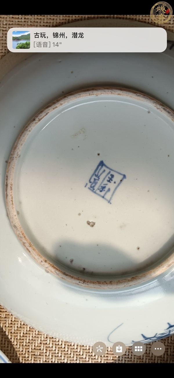 古玩陶瓷蝦藻紋青花盤真品鑒賞圖