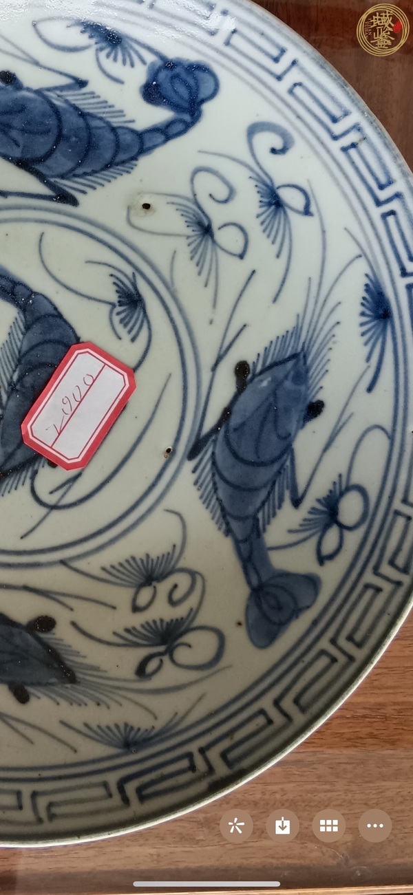 古玩陶瓷蝦藻紋青花盤真品鑒賞圖