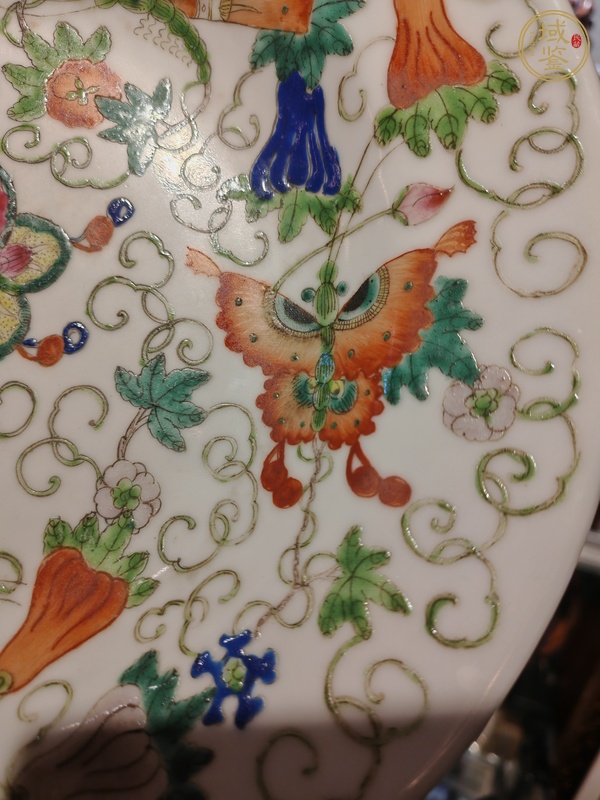 古玩陶瓷粉彩折腰盤真品鑒賞圖