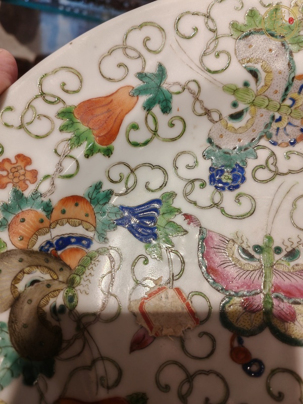 古玩陶瓷粉彩折腰盤真品鑒賞圖