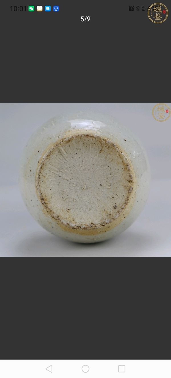 古玩陶瓷三系壺真品鑒賞圖