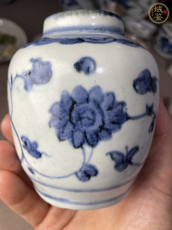 古玩陶瓷花卉紋青花罐真品鑒賞圖