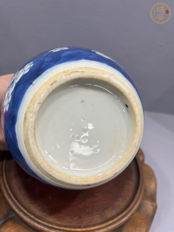 古玩陶瓷青花留白冰梅紋罐真品鑒賞圖