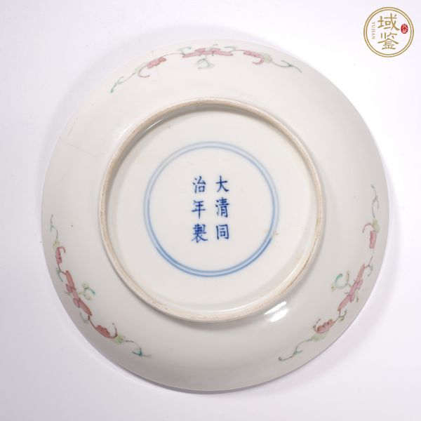 古玩陶瓷粉彩蟲草紋盤真品鑒賞圖