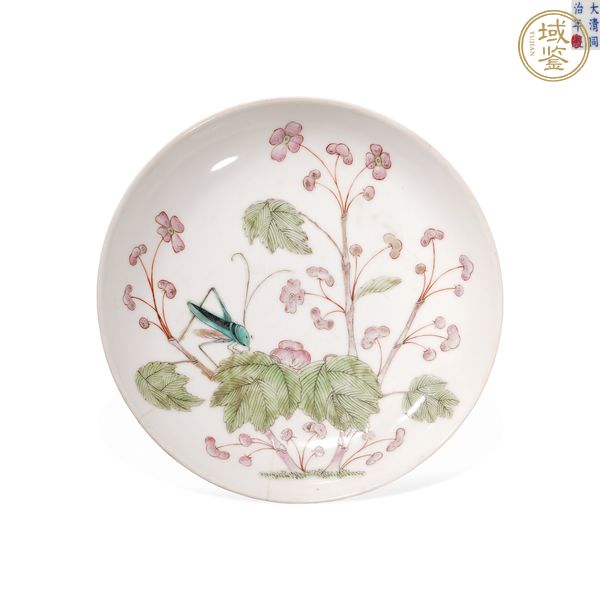 古玩陶瓷粉彩蟲草紋盤真品鑒賞圖