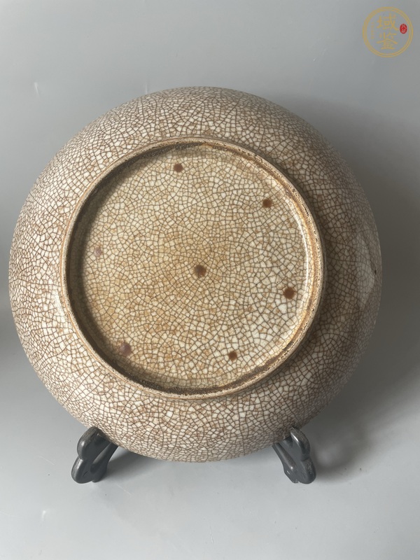 古玩陶瓷哥釉七星盤真品鑒賞圖