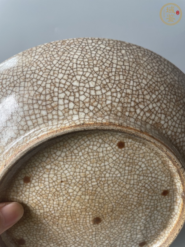 古玩陶瓷哥釉七星盤真品鑒賞圖