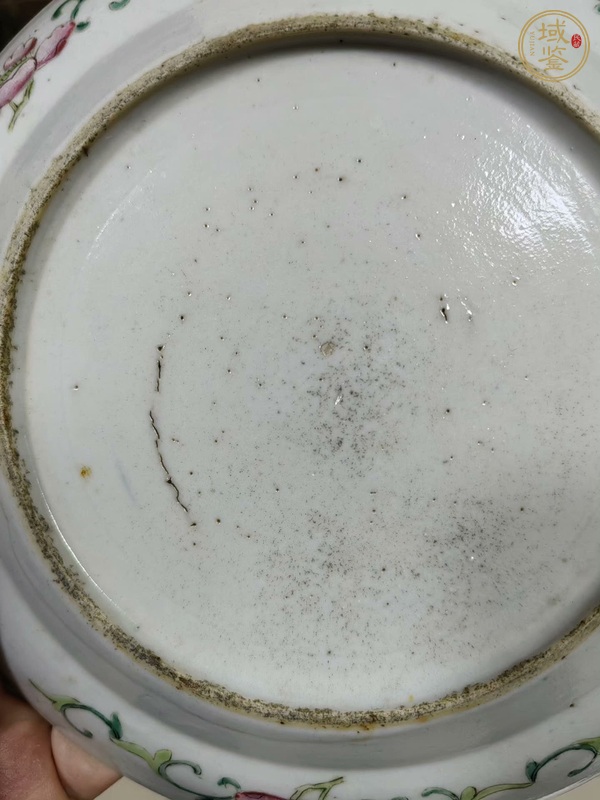 古玩陶瓷花鳥紋粉彩臥足盤真品鑒賞圖