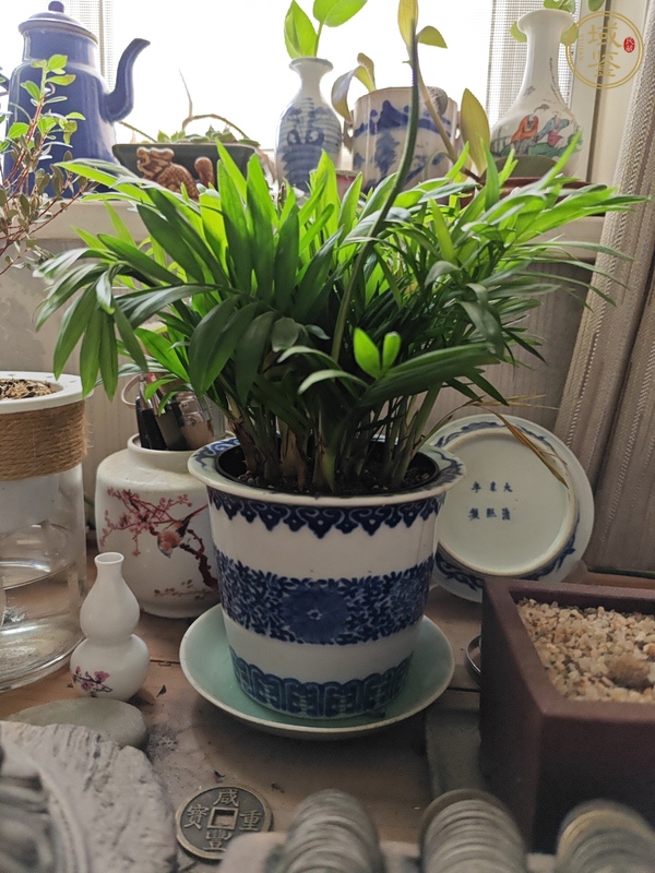 古玩陶瓷花卉紋青花花盆真品鑒賞圖