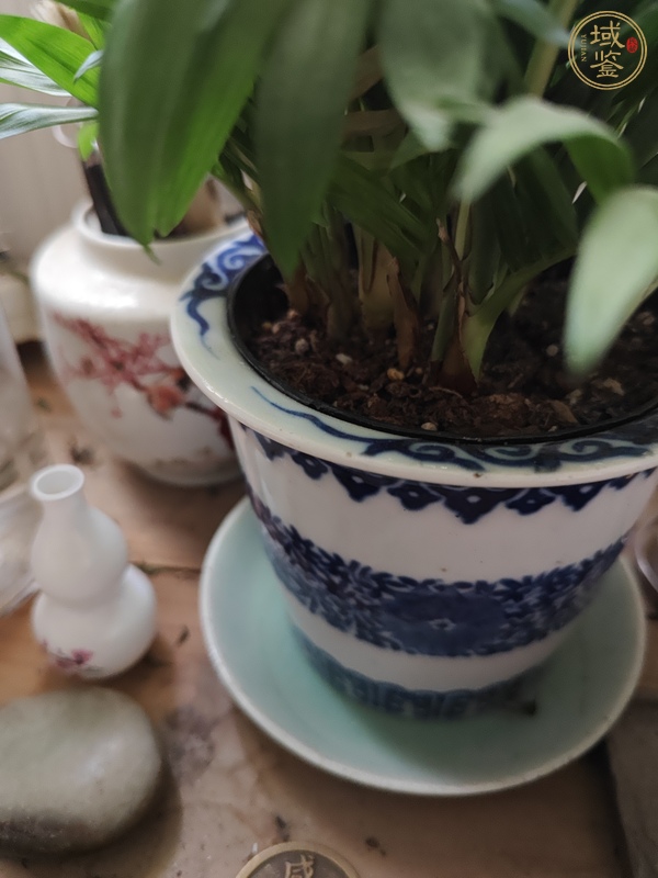 古玩陶瓷花卉紋青花花盆真品鑒賞圖