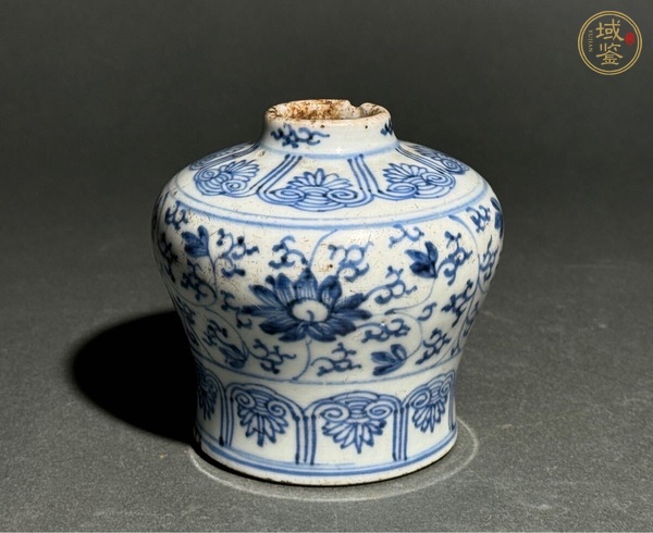 古玩陶瓷青花淡描花卉紋天字罐真品鑒賞圖