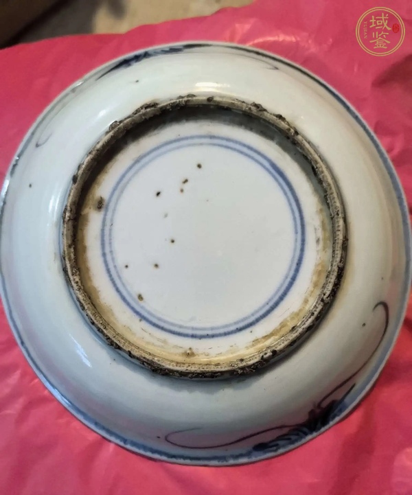 古玩陶瓷龍紋青花盤真品鑒賞圖